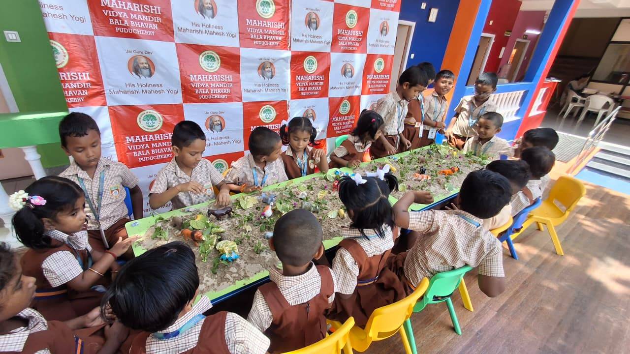 WORLD ENVIRONMENT DAY