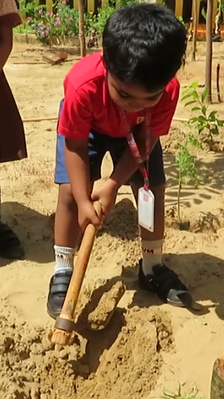 WORLD ENVIRONMENT DAY 2026-2027