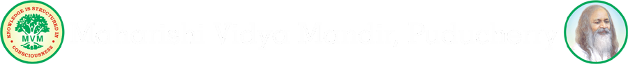 logo MVM